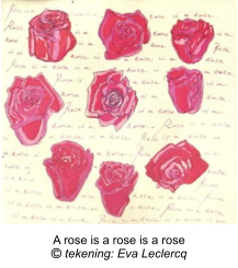 A rose is a rose is a rose   tekening: Eva Leclercq